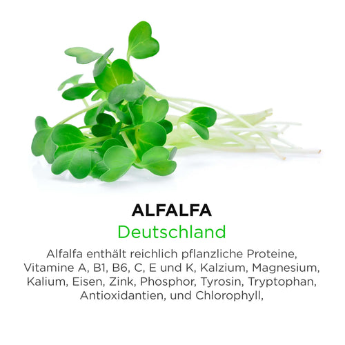 Alfalfa aus Deutschland