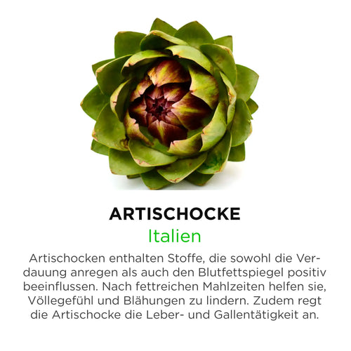 Artischocke aus Italien