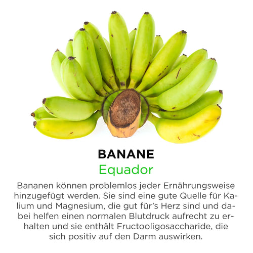 Banane aus Equador