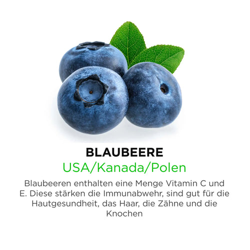 Blaubeeren aus USA Kanada & Polen