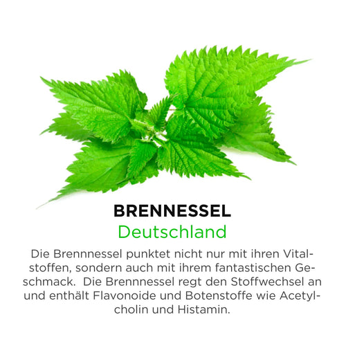 Brennessel aus Deutschland