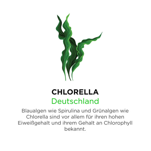 Chilorella aus Deutschland