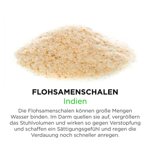 Flohsamenschalen aus Indien