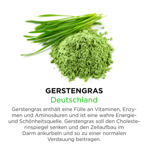 Gerstengras aus Deutschland