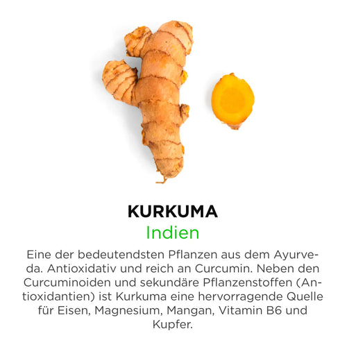 Kurkuma aus Indien