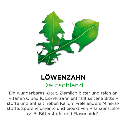 Löwenzahn aus Deutschland