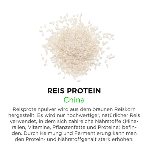 Reis Protein aus China