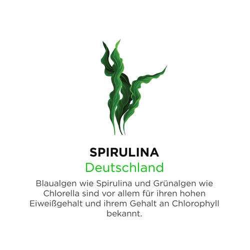 Spirulina aus Deutschland